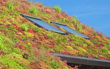 Abberton living roof systems